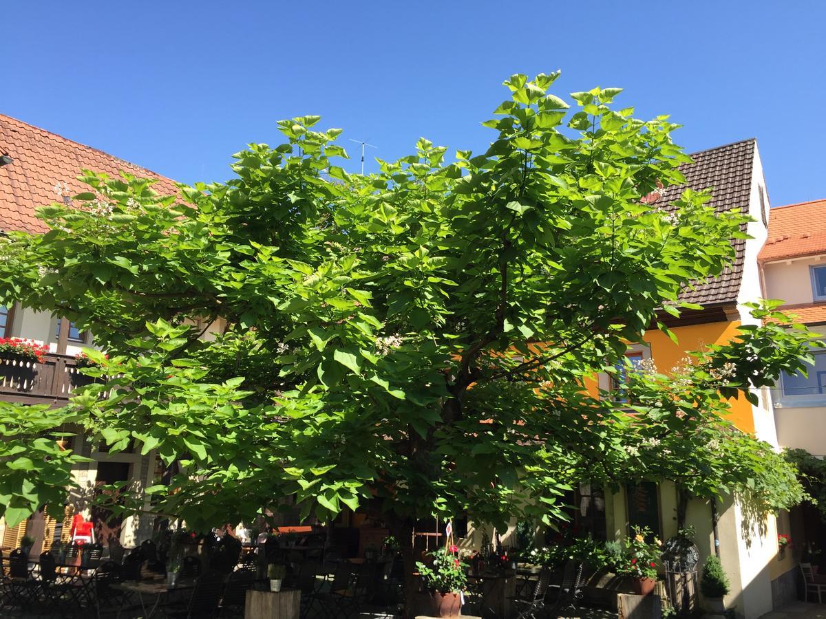 Gasthof Zum Storch Prichsenstadt Exterior foto